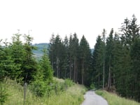 Ennest von Westfeld über Schützenstrasse