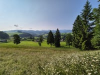 Enzenaustrasse desde Schindellegi por Etzelstrasse