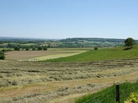 Eperheide desde Epen