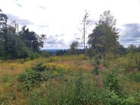 Erbeskopf von Thalfang
