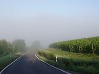 Erbsberg von Nittel über Kirchenweg
