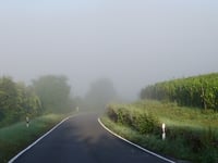 Erbsberg da Nittel