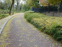 Erensteinerstraat über Kerkvoetpad
