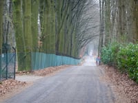 Erica von Heilig Landstichting