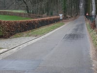 Erica von Heilig Landstichting