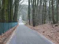 Erica von Heilig Landstichting