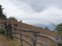Alto de la Ermita de Alba da San Pedro
