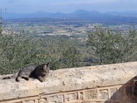 Ermita de Bonany da Petra