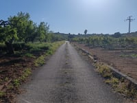 Puíg de la Misericordia via Racons