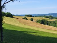 Erntehof von Usch