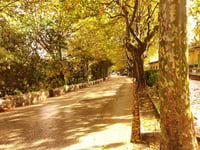 Es Cap des Bosquet from Esporles