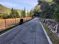 Es Grau von La Granja
