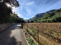 Es Grau von La Granja