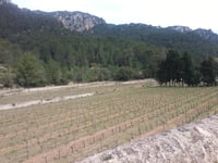 Es Grau da Puigpunyent