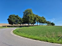 Montée d'Eschweiler von Kirel