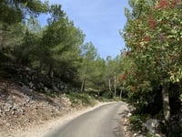 Col de Escourtines desde Calanque de Morgiou