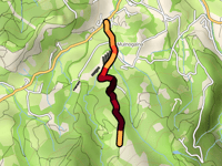 Estebenea
