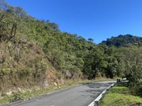 Estrada Cunha-Paraty depuis Paraty