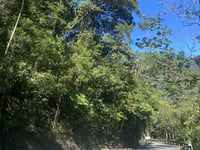 Estrada Cunha-Paraty depuis Paraty