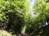 Eyserbosweg