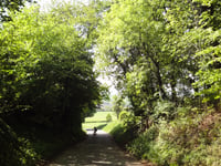Eyserbosweg