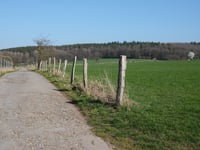Fackensief über Rumpenstrasse