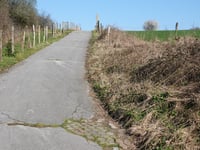 Fackensief über Rumpenstrasse