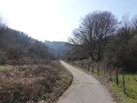 Fackensief über Rumpenstrasse