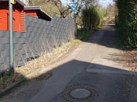 Fackensief über Rumpenstrasse