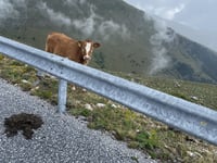 Falakro depuis Prosotsani