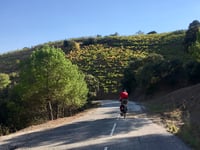 Falset desde Riu de Siurana