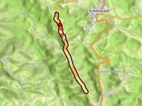 Famberg von Furtwangen