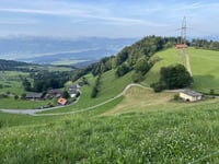Farneralp da Faltigberg