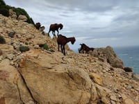 Faro de Formentor from Formentor