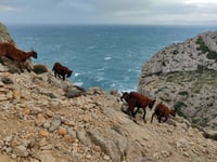Faro de Formentor from Formentor