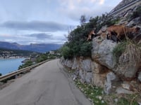 Faro des Cap Gros from Port de Sóller