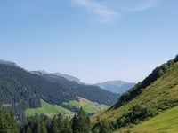 Faschinajoch von Ludesch