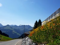Faschinajoch von Ludesch