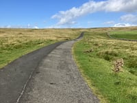 Faulds Brow von Whelpo
