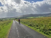 Faulds Brow von Whelpo