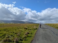 Faulds Brow von Whelpo