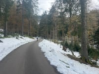 Baldenweger Hütte desde Oberried