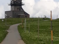 Feldberg da Todtnau