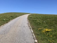 Feldberg desde Todtnau