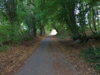 Feldgenstrasse von Ruif