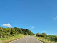 Fellerich vanuit Temmels