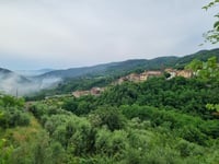 Femminamorta da Pistoia via Montagnana