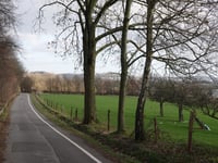 Ferberberg über Sonnenweg