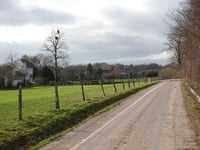 Ferberberg über Sonnenweg