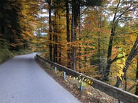 Ferchenseehöhe von Mittenwald über Lautersee